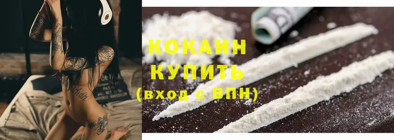 купить  цена  Курчатов  kraken как войти  КОКАИН Боливия 