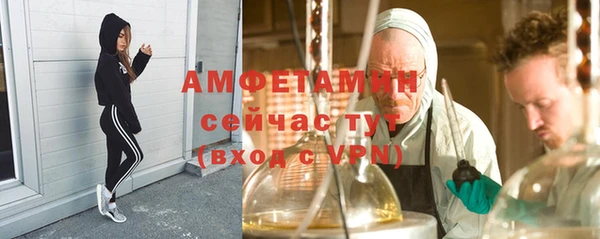 крисы Няндома
