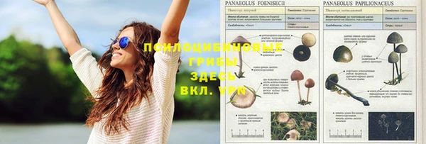альфа пвп VHQ Нягань