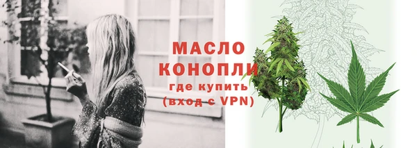 крисы Няндома