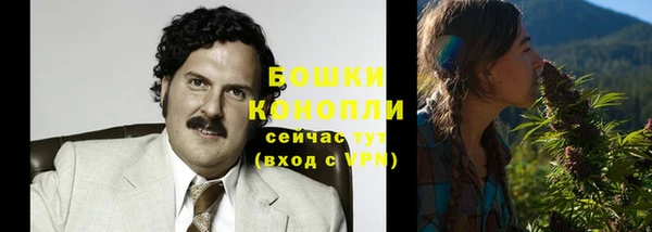 крисы Няндома