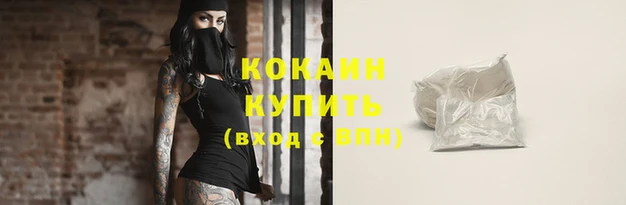 крисы Няндома