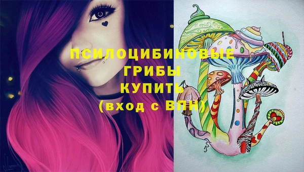 крисы Няндома