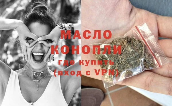 крисы Няндома