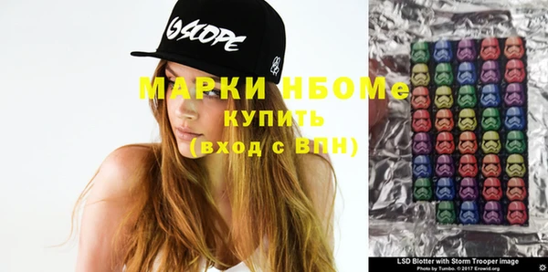 крисы Няндома