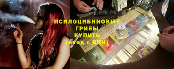 крисы Няндома
