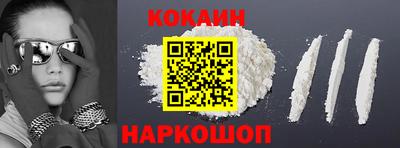 шишки Изобильный