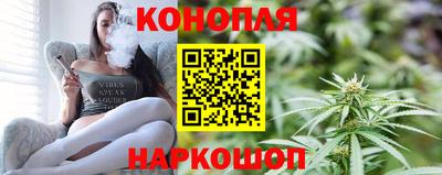шишки Изобильный