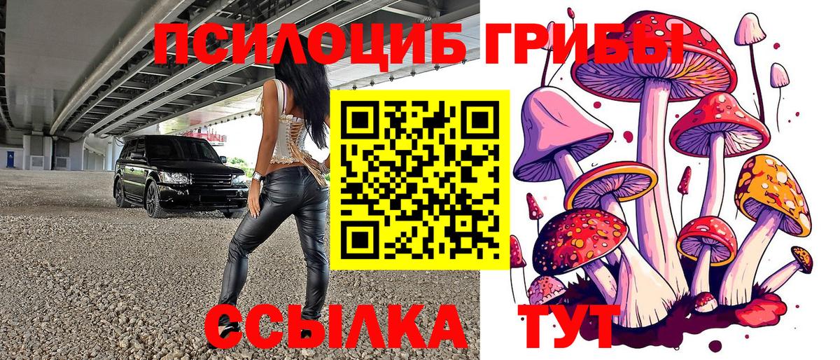 Псилоцибиновые грибы GOLDEN TEACHER  Галлюциногенные грибы GOLDEN TEACHER  Курчатов  Вход с VPN 