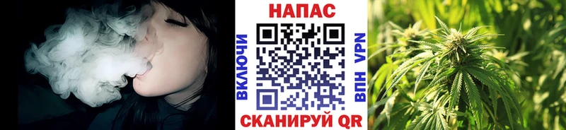 Конопля Ganja  Курчатов 